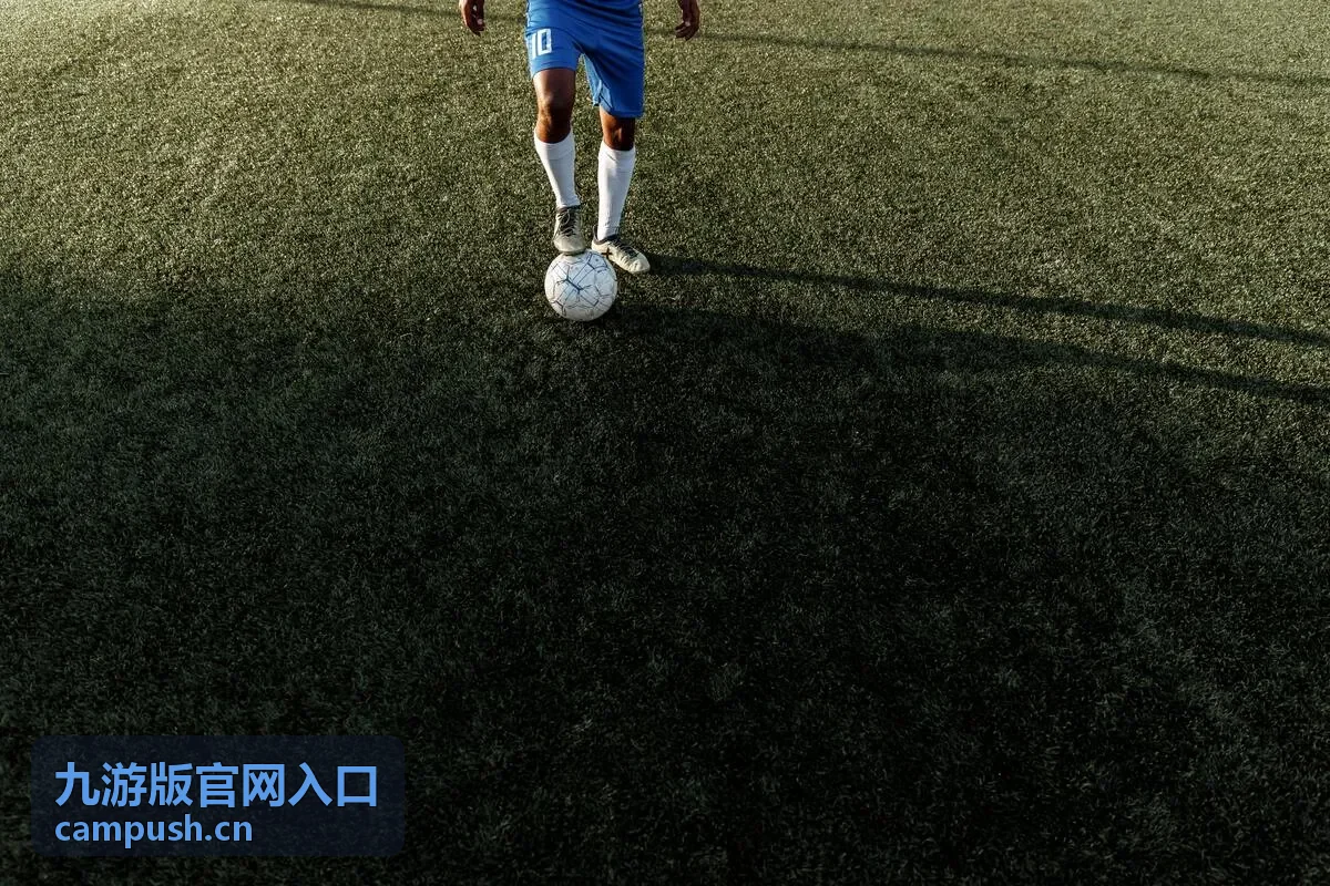 九游版官网入口账号安全设置配图